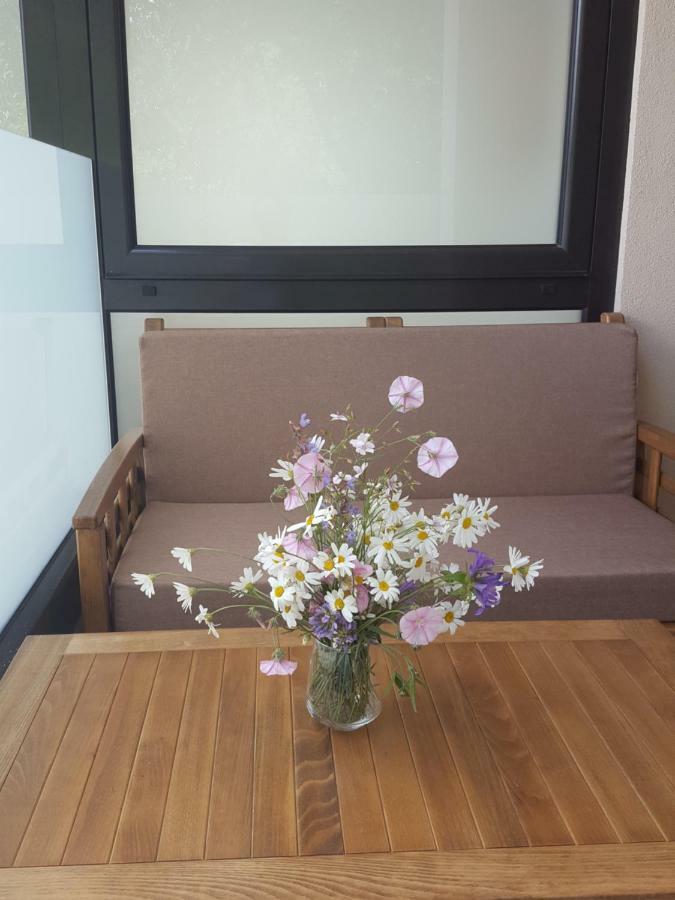 Guesthouse Laterna แฮร์เซ็ก-โนวี ภายนอก รูปภาพ